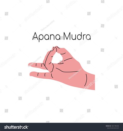 48 Apana Mudra Images, Stock Photos & Vectors | Shutterstock