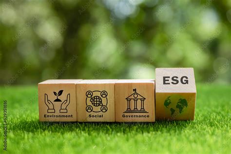 5 Reasons Why Esg Is Important To Your Business De Jong Phillips