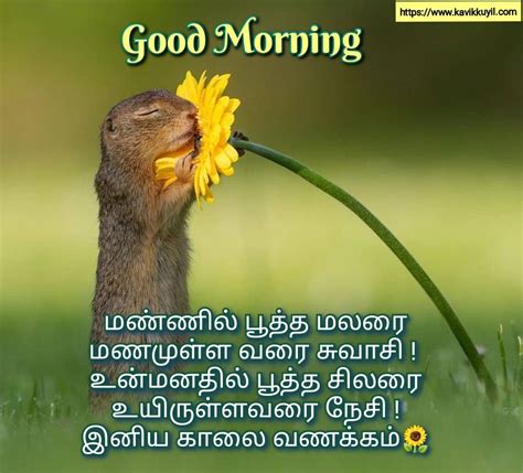 Good Morning Quotes In Tamil Good Morning Wishes In Tamil Happy