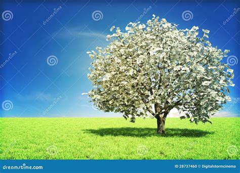 Money Tree Concept Stock Photo - Image: 28737460