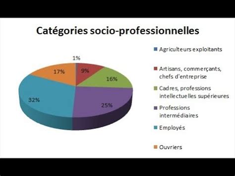 Les catégories socioprofessionnelles en France YouTube