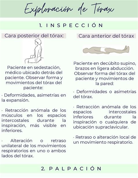 Infografía Exploración Física Exploración de Tórax 1 I N S P E C C I