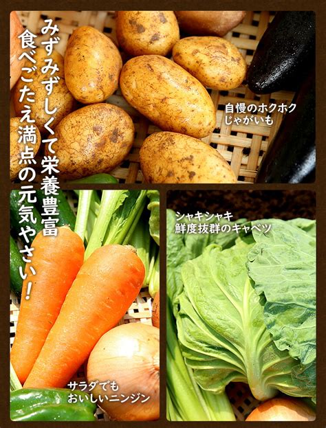 【楽天市場】野菜セット 九州産 産直 野菜 詰め合わせ 13品 国産 九州 宅配 お取り寄せ 食材 グルメ ご当地 ギフト 母の日 父の日 お