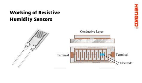 How Humidity Sensor Works All You Should Know Hengko