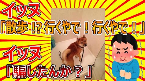 【2ch動物スレ】イッヌ「散歩！？行くやで！行くやで！」 Youtube