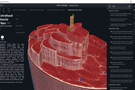 Complete Anatomy App [free Download]