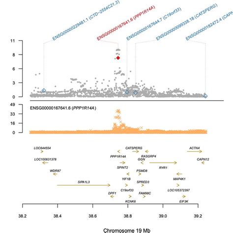 Eqtl Colocalization Between Gwas Signal For Abdominal Infections And