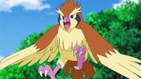 Can Pidgeot be shiny in Pokemon GO? (February 2023)