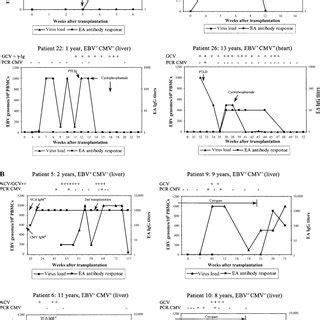 Correlation Between Epstein Barr Virus Ebv Load In Peripheral Blood