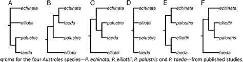 Figure 1 From Conﬂicting Genomic Signals Affect Phylogenetic Inference