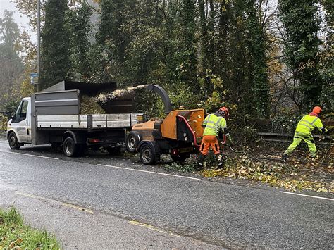 Removal Of Dead Wood And Overhanging Kenneth Allen Cc By Sa