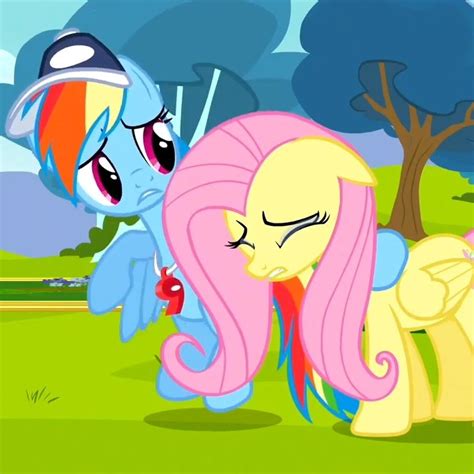 Fluttershy Und Rainbow Dash Love