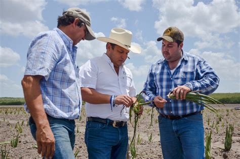 La Capital Productores De San Fernando Apuestan A Reconversion De