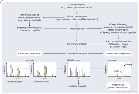 Biomarker Discovery Workflow Using 2d Lc Ms Ms Analysis The Complexity