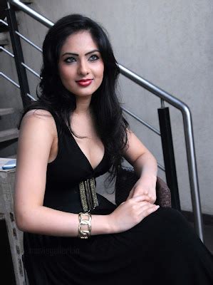 South Actress Nikesha Patel Hot Pics Saree Sexy Pictures