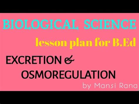 B Ed Lesson Plan For Biological Science In English Excretion And