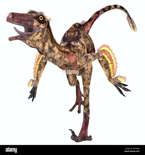 Dinosaur Troodon Hi Res Stock Photography And Images Alamy