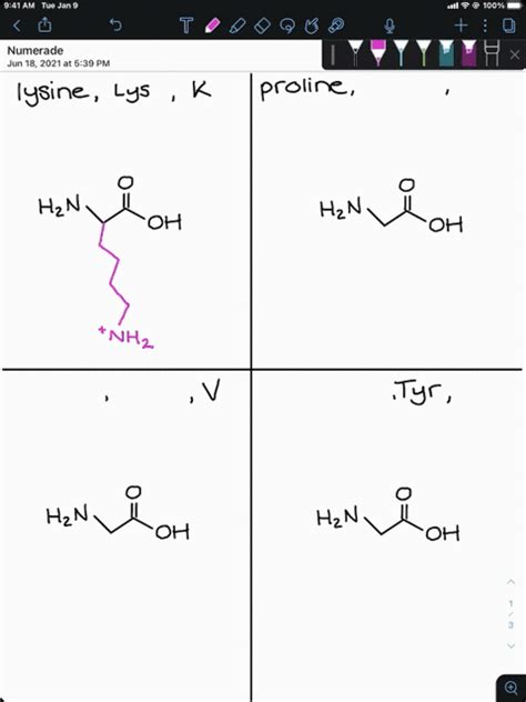 Draw The Structure For Each Of The Following Amino Acids At