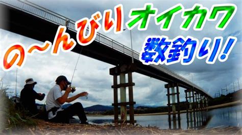 【小物釣り初心者】大和川釣り仲間とのんびりオイカワ数釣り。お盆に鱒レンジャー・グルテン・近鉄柏原道明寺線・歩道橋・水門横。チビオイカワ多いなぁ 大阪釣り・関西釣り