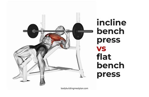 Incline Bench Press vs Flat Bench Press | Bench press, Incline bench ...