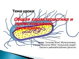 Презентация - Прокариоты (24 слайда)