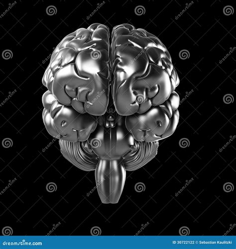 Metal Brain Stock Illustration Illustration Of Science 30722122