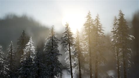 dramatic winter sunrise in the mountains 5681969 Stock Video at Vecteezy