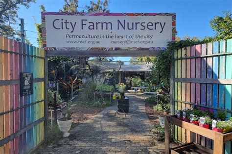 Northey Street Organic And Fresh Food Markets Windsor Brisbane