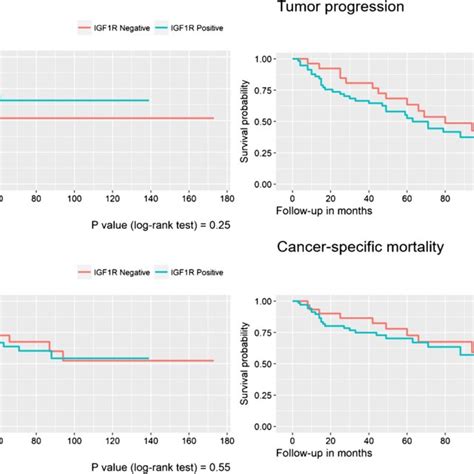 Survival Curves For Tumor Recurrence Tumor Progression Overall