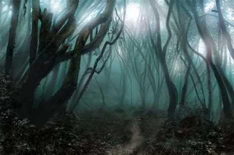 Scary Cartoon Forest Background