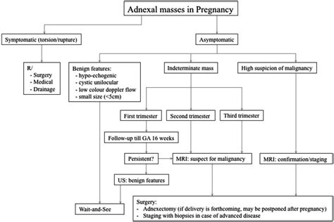 Management Of Ovarian Cysts And Cancer In Pregnancy Abstract