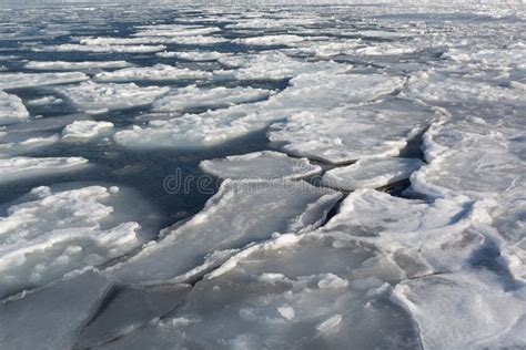 Ice floe stock image. Image of climate, nature, landscape - 64012761