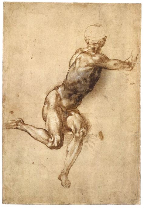 Sitting Male Nude Recto By Michelangelo Buonarroti