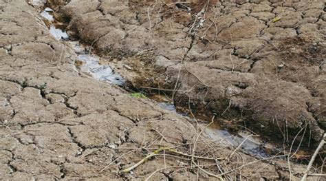 Ask The Expert Whats Causing The Severe Midwestern Drought Morning Ag Clips