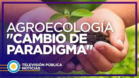 La importancia de la agroecología YouTube