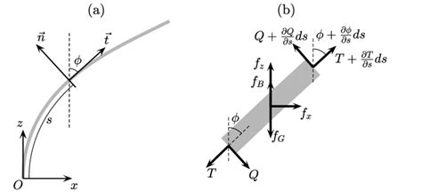 Schematic Diagram For The Coordinate Systems And The Free Body Diagram Download Scientific