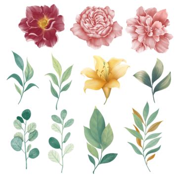 Watercolor Vector Flowers Watercolor Set Flowers Vector Watercolor