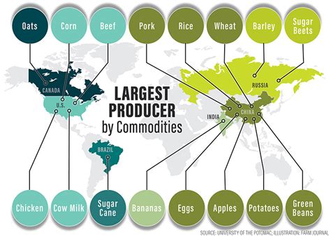 Top Producer 2024 Erika Jacinta