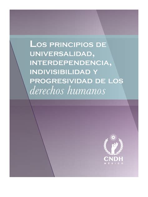 34 Principios Universalidad Los Principios De UniversaLidad