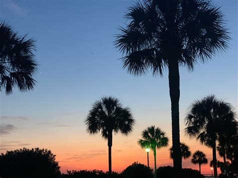 Charleston Jail Watch - Happy Memorial day everyone, but more