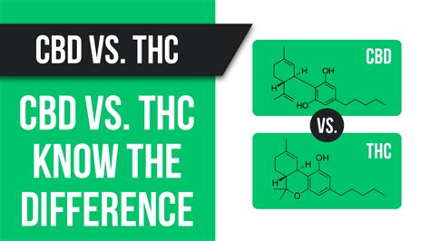 Cannabidiol Cbd Vs Tetrahydrocannabinol Thc Know The Difference