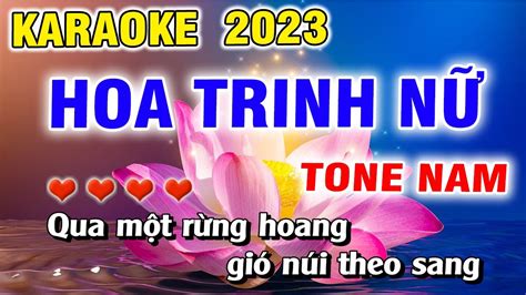 Karaoke Hoa Trinh N Tone Nam Nh C S Ng T Ti N Youtube