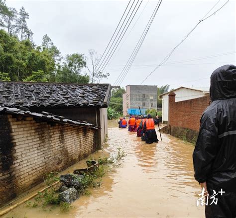 “三巴”携风雨来袭，信宜2万多名党员筑起防御台风“安全网”群众保障工作