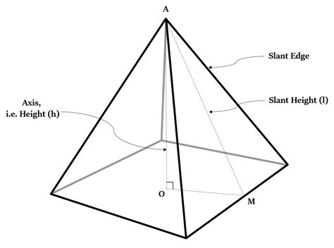 Mensuration Pyramid Red And White Matter Classes