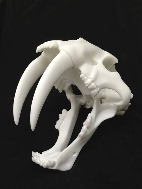 SABERTOOTH TIGER Sculpture by Sarah Kalimeraki | Saatchi Art