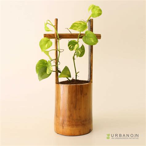 Bamboo Single Barrel Planter Urbanoin Bamboo Single Barrel Planter