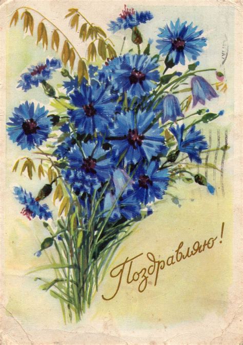 Красивые открытки