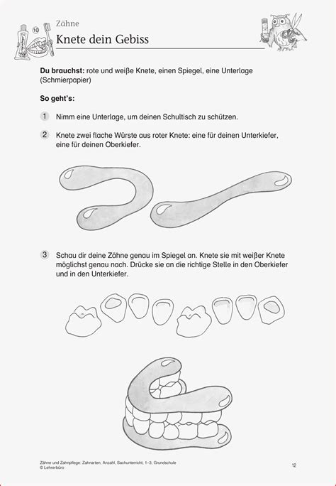 Angepasst Zähne Arbeitsblatt Grundschule 2022 Update Kostenlose