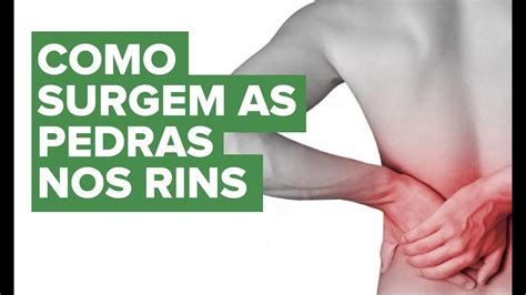 Como se forma o cálculo renal ou pedra nos rins Educar para Prevenir