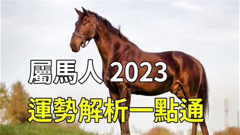 2023屬馬人的運勢怎麼樣！屬馬人2023年整體運程最準的預測 開運化解一點通【禪易】 Youtube